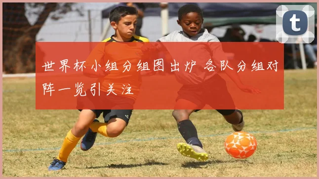 世界杯小组分组图出炉 各队分组对阵一览引关注