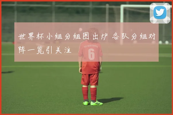 世界杯小组分组图出炉 各队分组对阵一览引关注