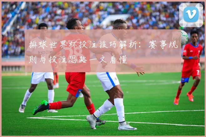 排球世界杯投注技巧解析：赛事规则与投注思路一文看懂