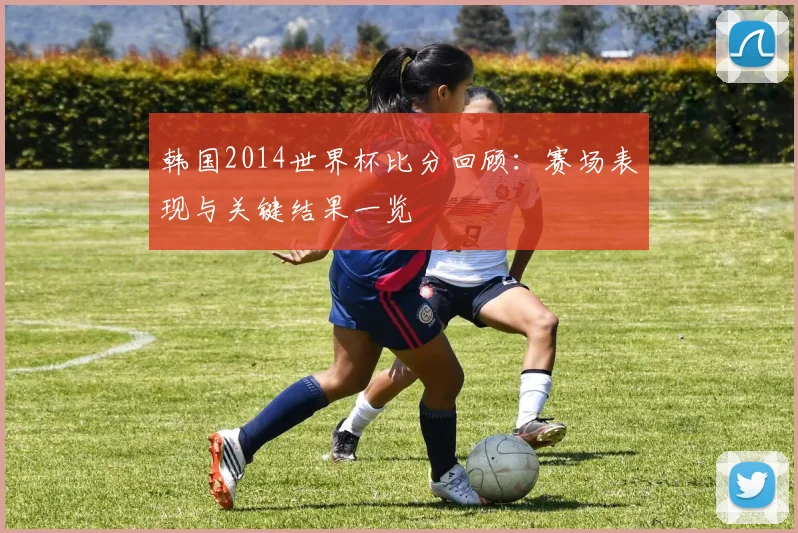 韩国2014世界杯比分回顾：赛场表现与关键结果一览