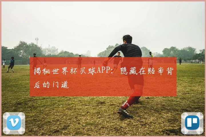 揭秘世界杯买球APP：隐藏在赔率背后的门道