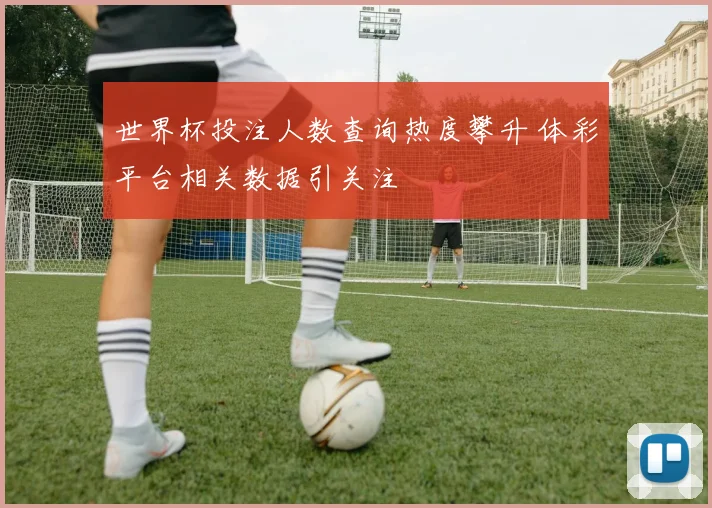 世界杯投注人数查询热度攀升 体彩平台相关数据引关注