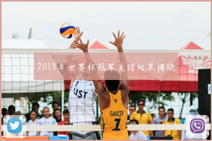 2018年世界杯冠军竞猜结果揭晓